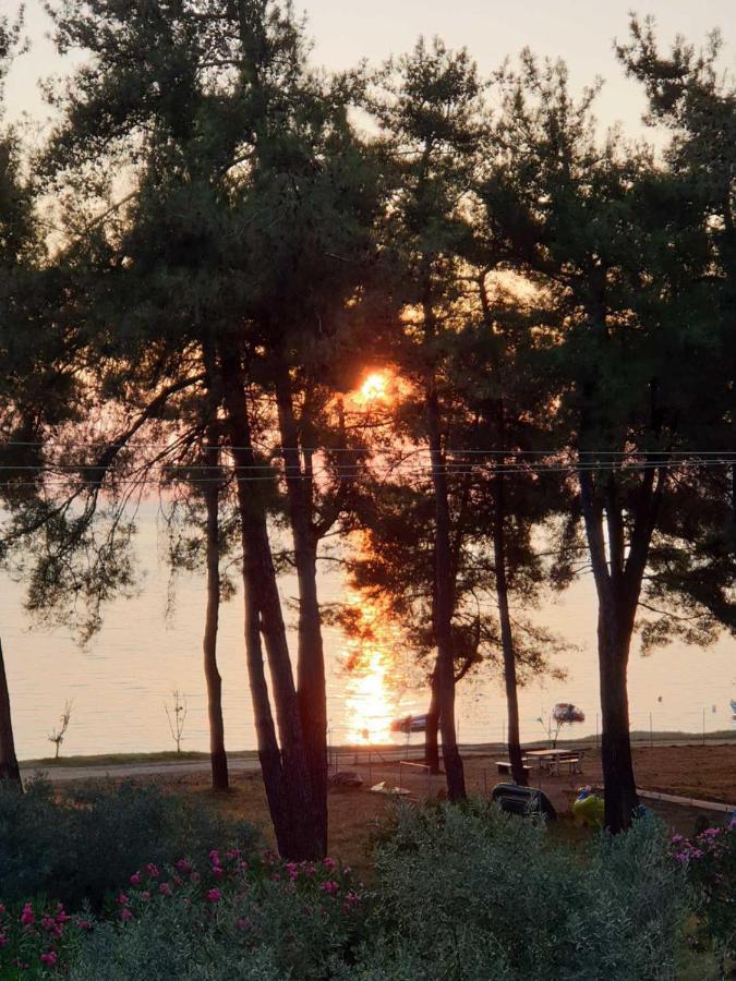 Nisteri Seaside Limenas (Thasos) Exterior foto